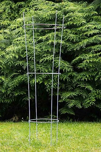 KUHEIGA Staudenhalter Verzinkt aus Metall H: 160m - 2 TLG. Strauchhalter Rankgerüst, Rankhilfe