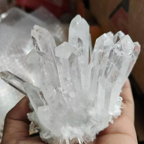 Großes natürliches Bergkristall-Cluster-Stein-Drusen-Geode-Exemplar