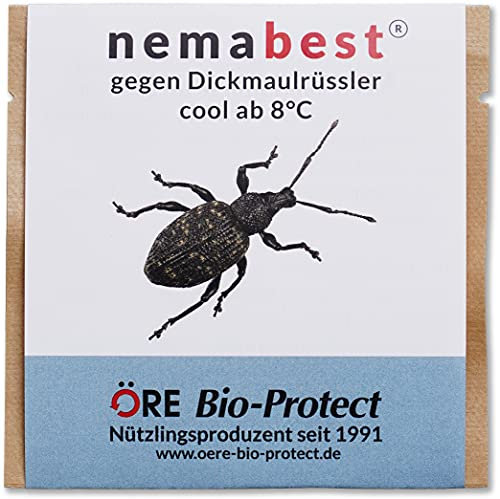 nemabest® cool HB+SF Nematoden zur Bekämpfung des Dickmaulrüsslers - 6 Mio. für 12m²