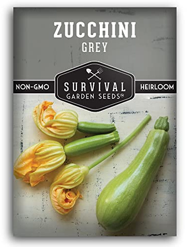 Grey Zucchini Seeds for Planting – Mexican Calabacita Summer Squash Heirloom Variety for Vegetable Gardens - High Yield, Non-GMO, Open-Pollinated - Survival Garden Seeds (1 Pack)