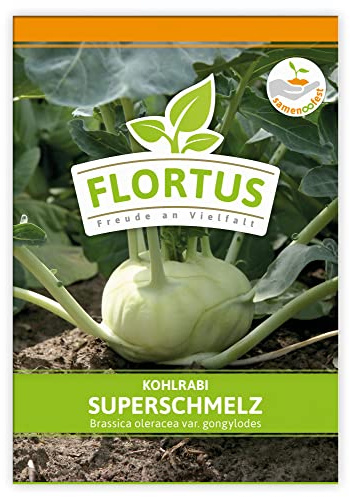 FLORTUS Kohlrabi Superschmelz | Gemüsesamen | Kohlsamen | Kohlrabisamen | Samen zur Anzucht für Garten, Balkon, Küche & Fensterbank