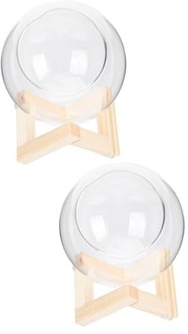 INOOMP 2sätze Transparente Blumenpflanztöpfe Für Sukkulenten Mit Holzregal Für Balkon Und Garten Langlebig Und Platzsparend Fördert Pflanzenwachstum