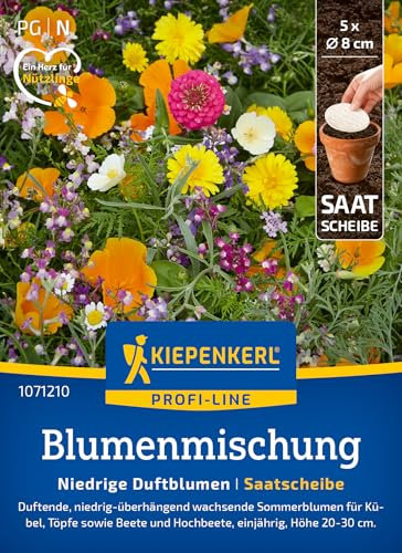 Kiepenkerl Profi-Line Blumensamen-Mischung Niedrige Duftblumen 1071210 - Bunte Blumenmischung für Kübel & Beete - Wildblumensamen, Blumenwiese, Saatscheibe