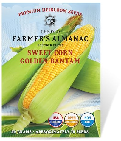 The Old Farmer's Almanac Heirloom Sweet Corn Seeds (Golden Bantam) - Approx 75 Seeds - Non-GMO, Open Pollinated, USA Origin