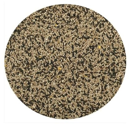 Canary Seed 1kg Mixed Canary Food Feed For Caged Canaries Aviary Canaries etc