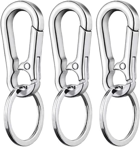 LABUYI 3 Mosquetones Llaveros, Pequeños, Metales, Extraíbles, Aleación de Zinc, para Mochilas, Coches, Plata