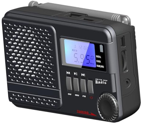 Radio Portative Numérique à Double Canal, Stéréo, Noir