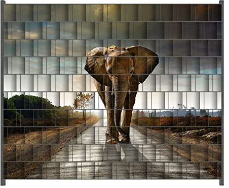 Wallario Zaun Sichtschutz Windschutz für EIN- und Doppelstabmattenzäune in der Größe Breite 2,50m x Höhe 2,00m, Motiv: Elefant bei Sonnenaufgang in Afrika