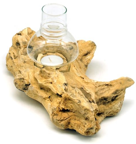 Windlicht Natur Holz Wurzel mit Glas hell Teelichthalter Windlichthalter (25-28 cm)