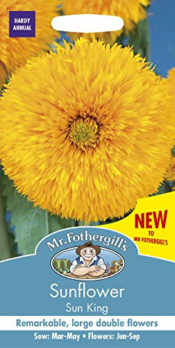 Mr Fothergill's 27327 Sunflower Sun King Improved Seed Packet, Yellow, 0.5x7.5x14.5 cm