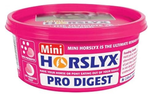 Horslyx Pro Digest, 650 g