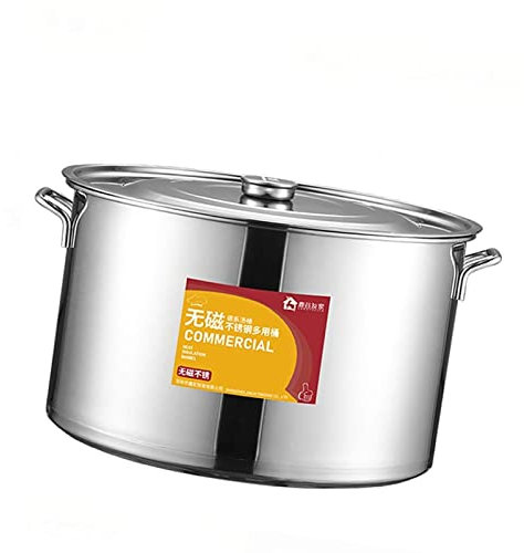 Olla - Olla con Tapa, Catering Uso Comercial/doméstico Olla Gruesa Hecha de Acero Inoxidable 304 con Tapa, para Estufa de Gas/Olla de inducción (13-40L) (Tamaño: 25L)