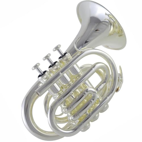 Tragbares Taschentrompeten-Musikinstrument B-Dur Versilbertes Blasinstrument Für Anfänger Für Lernen Und Langlebig