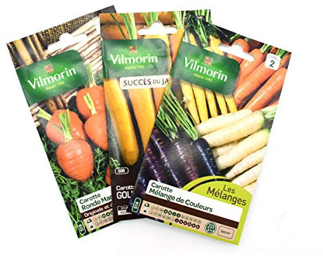 Pack de 3 sachets de graines de carottes originales et multicolores