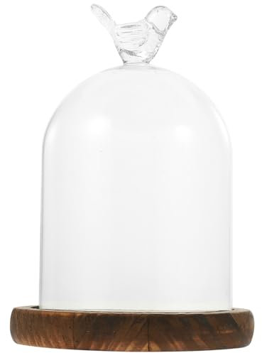 Kichvoe Cloche Glass Dome Clear Display Bell Jar with Bird Top Handle and Wood Base 14x9cm Dried Flower Storage Jars Diy Snow Globes Cake Dessert Stand for Party Favor