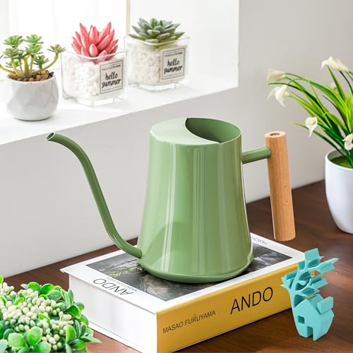 Baffect Indoor Watering Can For House Plant & Small Bonsai (1L, Sage Green) | 34oz Metal Houseplant Watering Jug With Long Spout & Wooden Handle, Stainless Steel Water Can For Small Pot Plant, Flower