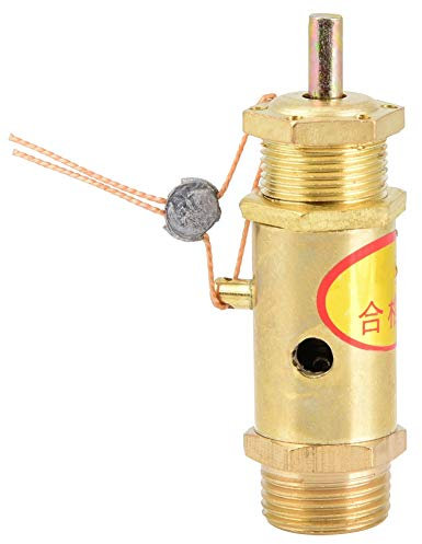 ANKROYU Air Compressor Valve, Pressure Release Valve, Air Compressor Check Valve, Compressor Pressure Relief Valve for Steam Generators Electric Boilers (10kg)