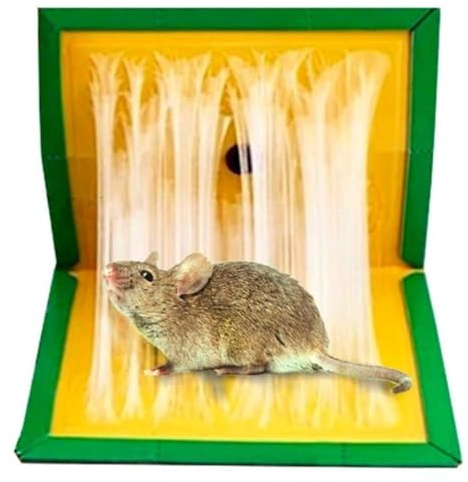 Trampa para Ratas y Ratones. Pack de 5 Trampas Adhesivas Ultra Adherentes y No Tóxicas | | Diseño Plegable y Versátil | Eficacia Comprobada