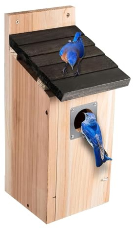 Nichoir à Oiseaux en Bois imperméable à Suspendre pour décoration d'extérieur pour Petits Oiseaux, idéal pour Le Jardin, la Cour et la Maison intérieure, 12 cm en Bois Naturel