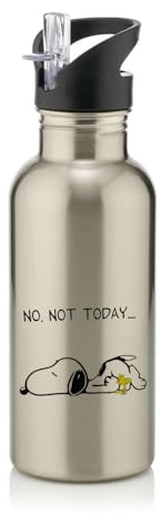 Giftme No Not Today Dog Birthday, Christmas, Secret Santa Stocking Filler Stainless Steel 600ml Water Bottle with Straw. (Silver)