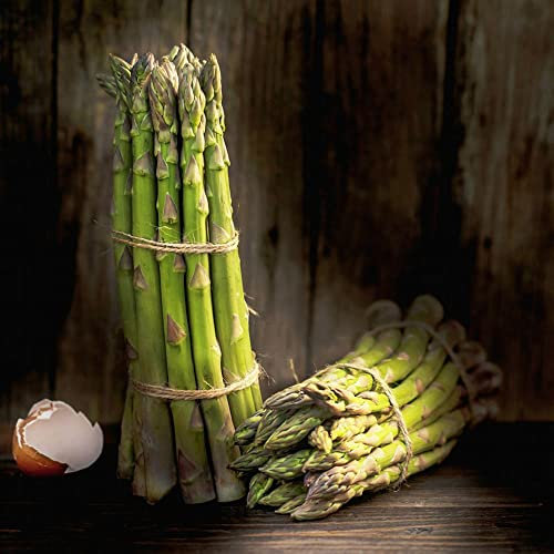 Semi Asparagi Bio, Ortaggi Asparagi Verdi, Asparago, Giardino Esterno Fattoria, Semi Orto, Semi Da Piantare, Piante Vere Da Esterno, Asparagi Semi, Facili Da Coltivare - 100 Pezzi