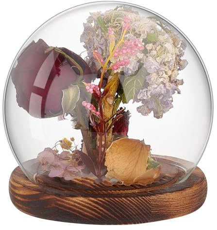 PH PandaHall Glas Cloche Glaskuppel Klare Globe Display Kuppel mit Holzsockel Dekorative Glasvitrine für Pflanze Blume Stein Modelle Schmetterling 12x11.5cm