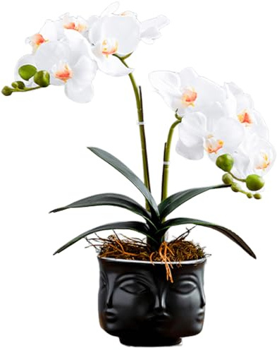SYDDOL Orchidée artificielle blanche bonsaï 35 cm Arrangement floral phalaenopsis artificiel hydratant au toucher réaliste dans pot zen en céramique noire pour centre de table, décoration d'intérieur