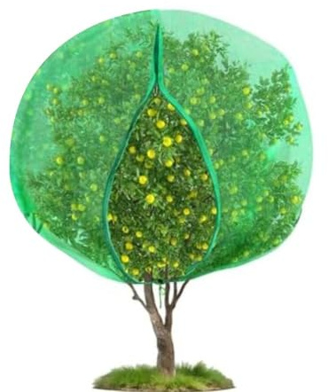 Gettimore Rete per alberi da frutto a rete ultra fine con cerniera e coulisse per protezione da giardino, compatibile con cespugli e arbusti di mirtilli, 1,8 x 1,8 m, verde, 3 x 3 m