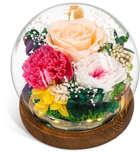 CSYY Rosa Eterna, Regalo para el día de la Madre Luces LED Flor Preservada Bola de Cristal Vidrio Claveles Preservados Infinito Flor Eternos Mujeres Mamá Novia Esposa Día de Cumpleaños Rosa