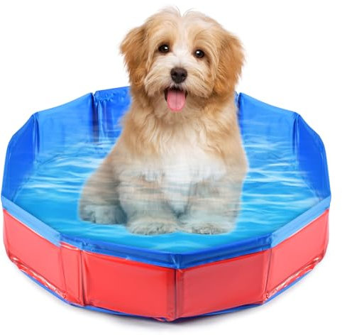 Faltbar Hundepool,Hundepool Schwimmbad für Hunde und Katzen,PVC rutschfeste Schwimmbecken,Tragbare Planschbecken für Haustier,Hunde Sommer Pool,für Kleine Haustier Hund Katze