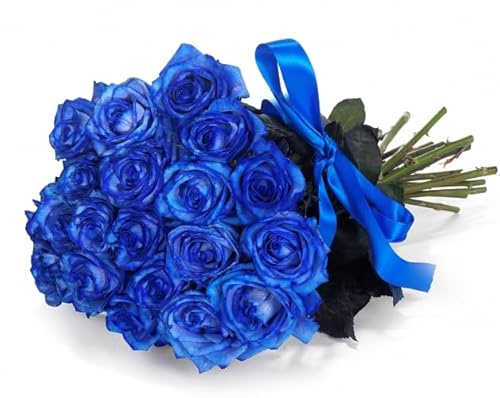 Bouquet de Rosas | DECOALIVE | Ramo de 25 Rosas Azules| Flores Frescas Naturales