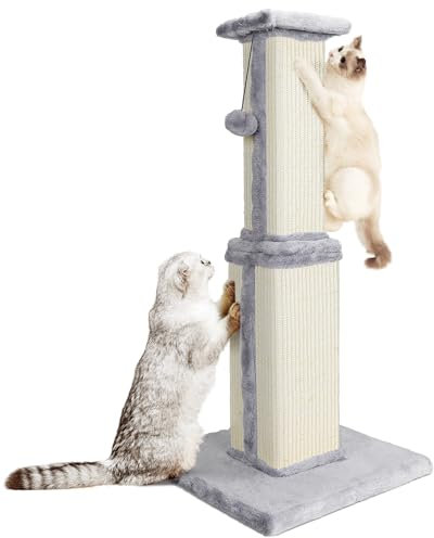 HEVOL Kratzbaum, 80cm Hoch Kratzsäule, Katzenbaum, Kratzstamm für Mittelgroße und Klein Katzen, Natürlichem Sisalstamm Katzenkratzbaum mit Interaktiven Plüschball, Beige