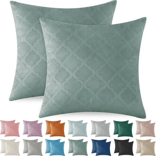 Ystyle Fundas para Almohadones 45x45 de Terciopelo Juego de 2 Decoracion Hogar Funda para Cojin Sofa Cama Salon de Estar Dormitorio Sillas Jardin Habitación Color Sólido, Verde Claro