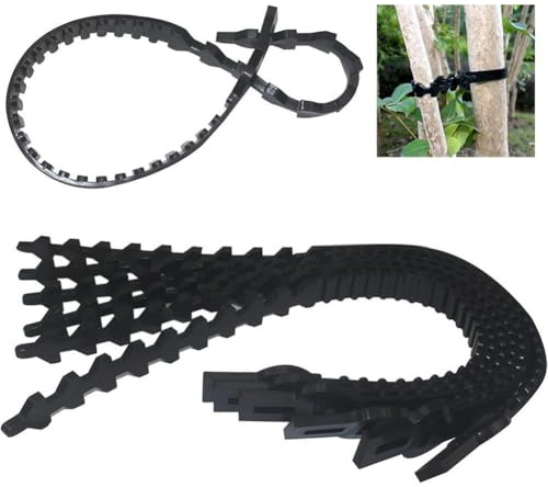 Homeponnew Correas ajustables para plantas para árboles y arbustos, 10 correas de soporte de goma resistentes, entrenamiento de árboles de jardín, color negro (500 mm)