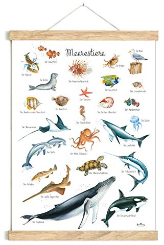 fioniony POSTER 50 x 70 cm MEERESTIERE WEIß UNGERAHMT OHNE HOLZLEISTE Tierposter Lernposter Schulanfang 1. Klasse Kinderposter Kinderzimmer Deko Geburt Babyzimmer Wandbild Schule Kindergarten