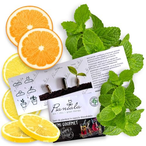 SEMI PINATABILI (SEMI GOURMET HAPPY HOUR: arancio, limone, menta)