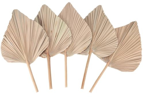 Aboiled Décoration d'intérieur en feuilles de palmier séchées, 5 pièces - 45,7 cm H x 25,4 cm l - Grande décoration en feuilles de palmier pour un beau look bohème
