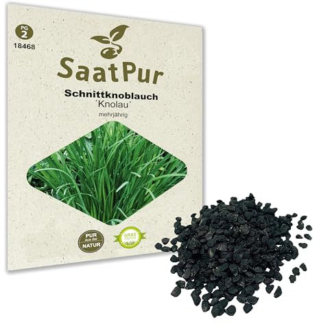 SaatPur Schnittknoblauch Samen, Saatgut für ca. 200 Pflanzen Kräutersamen