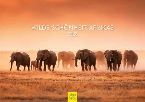 Edition Seidel Premium kalender vild skönhet Afrika 2026 format DIN A4 väggkalender djur elefant lejon giraff zebra safari natur vilda djur