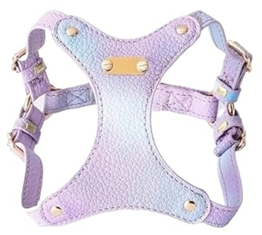 Weiches, wasserdichtes Leder-Katzengeschirr mit Fluchtschutz – Laufgerät for Katzen, Teddybären und kleine Chihuahua-Hunde(HG50-10 11-36T,M)