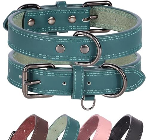 Didog Hundehalsband aus echtem Leder, langlebig, weich, strapazierfähig, mit Doppel-D-Ringen, verstellbares Hundehalsband aus Leder mit Metallschnalle für mittelgroße und große Hunde, Grün, L