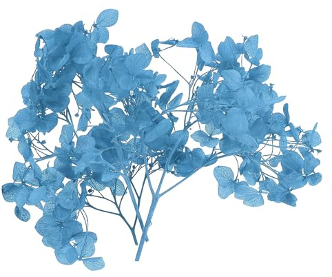 PATIKIL 10g Fleur D'Hortensia Séchée Fleurs Pressées Naturelles Blue | Pétales D'Hortensias Réels, DIY Résine Artisanat Floral Bougies Ornementation