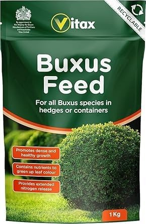 Buxus Feed 1kg | Specialist Box Hedge Fertiliser | Extended Nitrogen Release | Prevents Yellowing & Box Blight | Dense Green Foliage | Topiary Hedges Pots Containers | Slow Release