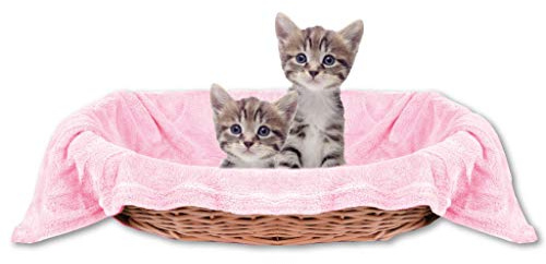 Bestlivings Haustierdecke Katzendecke Kuscheldecke Tierdecke, angenehm und super weich in vielen erhältlich (90x140 cm/rosa - babyrose)