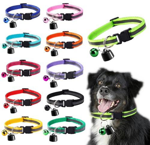 Collier Traceur GPS pour Chat & Chien — Mini Traceur GPS pour Chat – Suivi Mondial – sans Frais Supplémentaires – Compatible iOS & Android – pour Tout Collier – Localisation Intelligente (F)