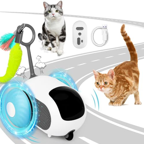 Katzenspielzeug Selbstbeschäftigung, Interaktives Katzenspielzeug, Katzenspielzeug Ferngesteuert, 2 Modi Katzenspielzeug Intelligenz Ferngesteuert, Elektrisch Katzen Spielzeug USB Aufladbar, Blau