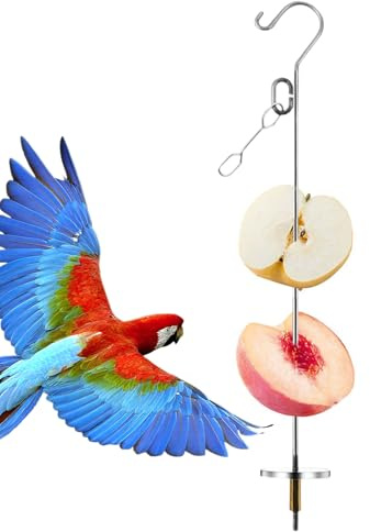 Brochettes pour oiseaux : brochettes de bonbons en acier inoxydable pour oiseaux, décoration de cage intérieure et jouets de travail pour espèces d'oiseaux de petite et moyenne taille