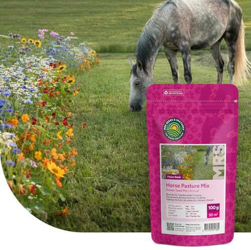 MRS Mélange de fleurs de prairie des chevaux - 100 g pour 50 m² - Mélange de variétés de fleurs annuelles et vivaces - Très attractif pour les insectes pollinisateurs