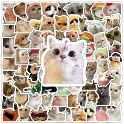 100 Pcs Cat Stickers Pack, Cute Kawaii Cats Meme Stickers, Waterproof Vinyl | Funny Decals for Laptop, Water Bottles, Phone, Journal & Scrapbooking, Funny Cat Decals for Adults Teens & Cat Lovers
