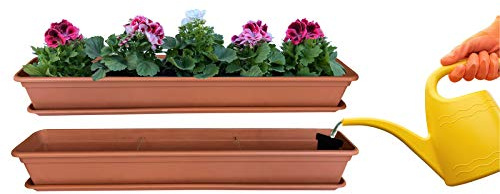 Hossi's Wholesale Blumenkasten 100cm mit Wasserspeicher Terrakotta | Hossi's Wholesale, Balkonkasten, Pflanzkasten, Blumenkübel mit Untersetzer